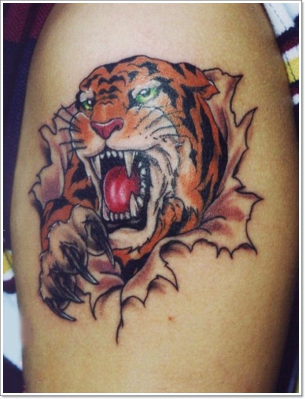 bello tigre ruggente da sotto pelle tatuaggio colorato su spalla