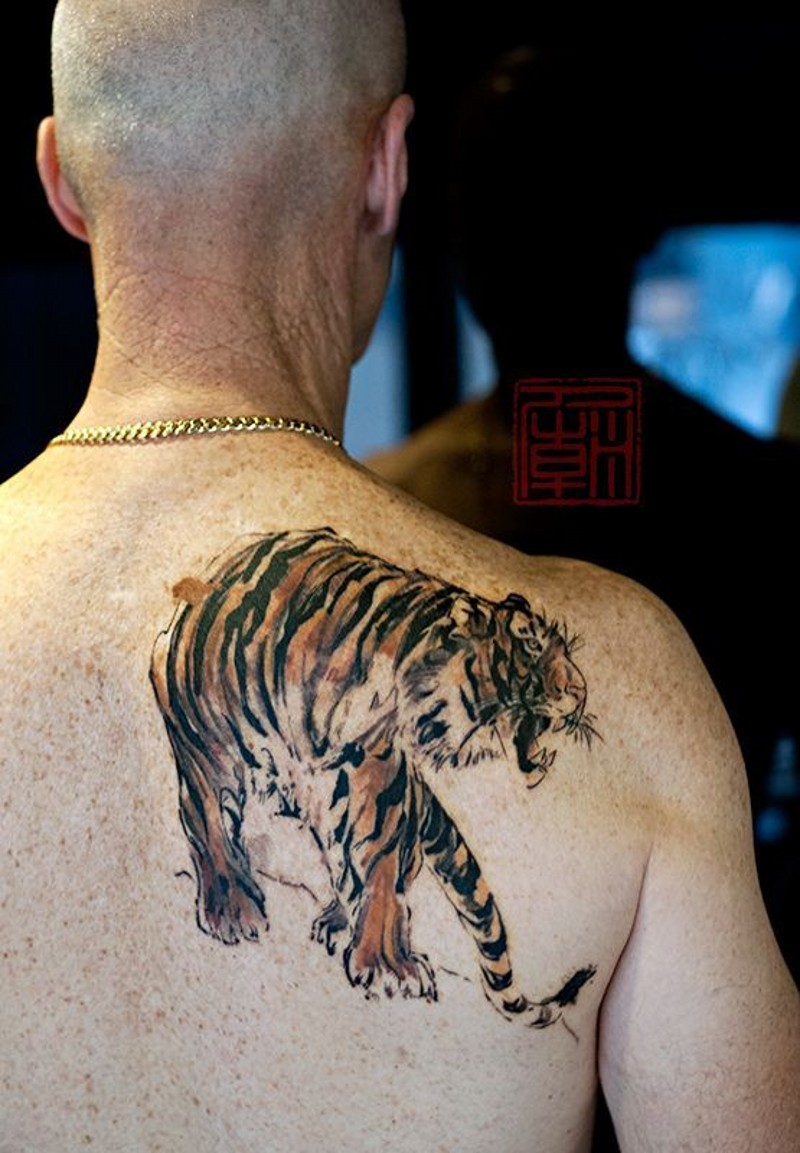 Brüllender im asiatischen Stil natürlich gefärbter Tiger am Mannes Schulterblatt