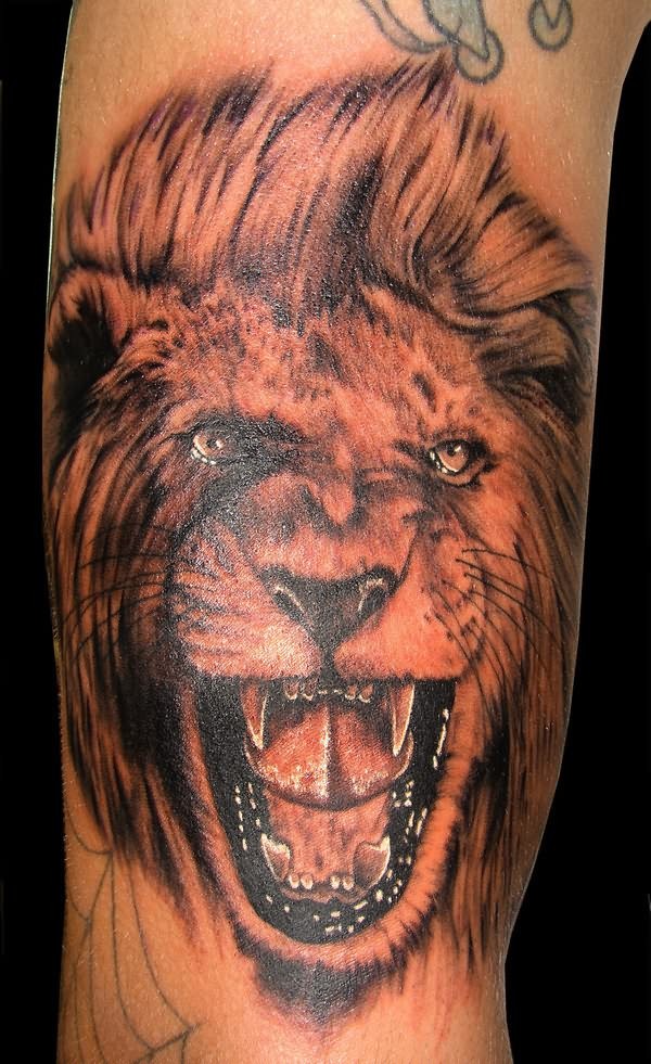 Roaring face of lion tattoo