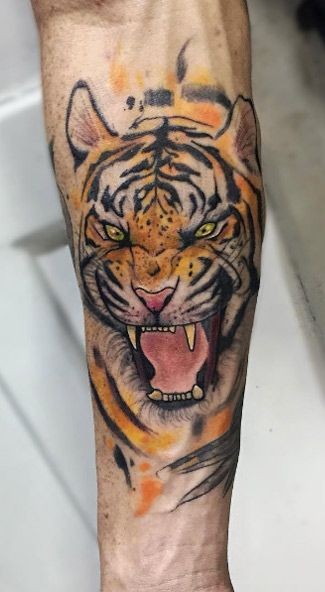 La cabeza del tigre rugiente detalla el tatuaje colorido del antebrazo