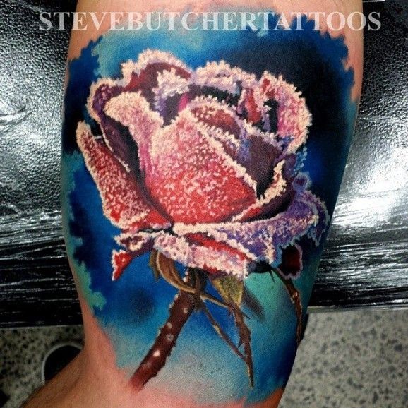 Realistic rose covered with frost tattoo by steve butcher