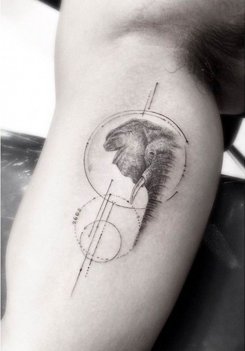 Scientific-Stil große schwarze Kreise mit Elefanten Tattoo am Arm