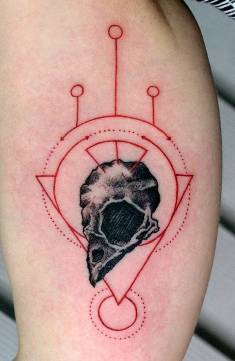 Tatuaje en el brazo, cráneo de una ave, estilo científico