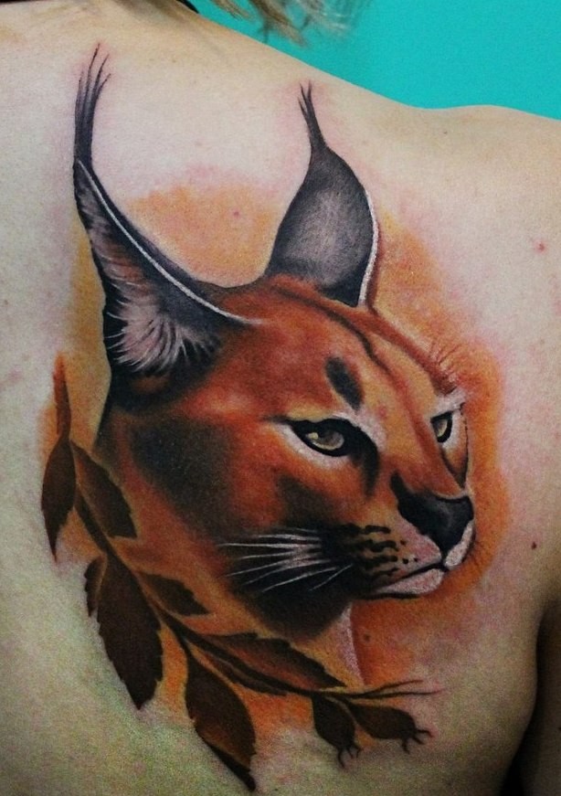 Sharp designed big colored steady wild cat tattoo on shoulder