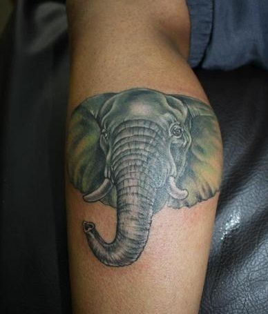 Simple big colored and detailed elephant head tattoo on leg