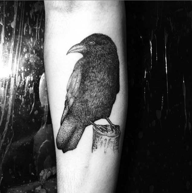 Tatuaje en el antebrazo, cuervo bonito negro en el tocón
