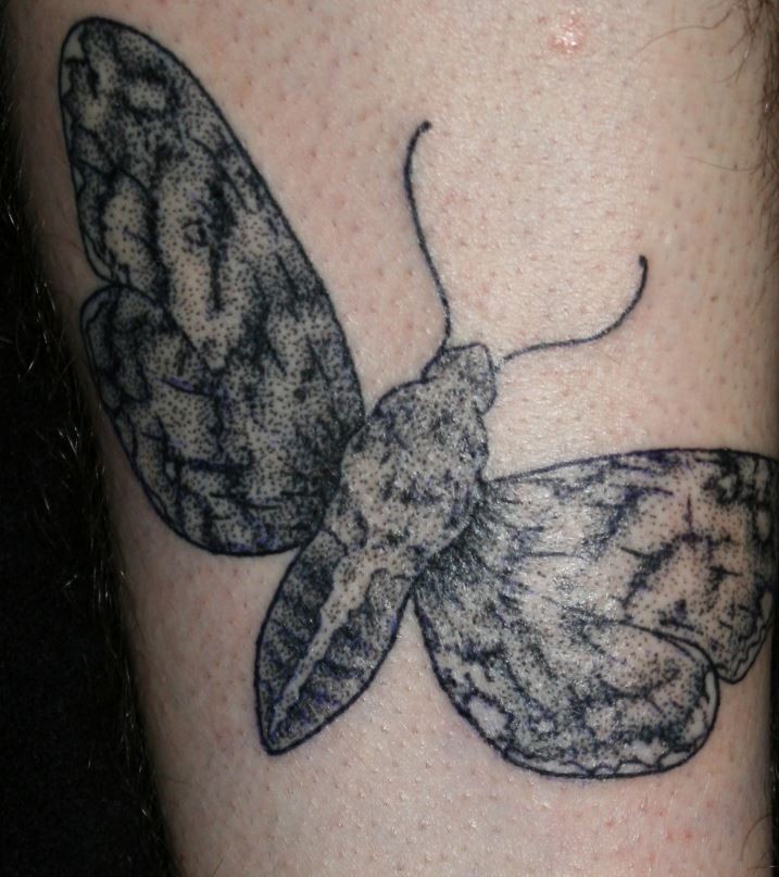 Tatuaje de polilla gris simple  en la pierna