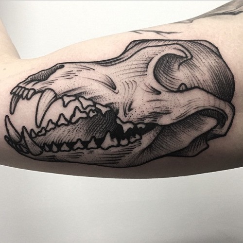 Tatuagem de bíceps estilo linework simples de crânio animal