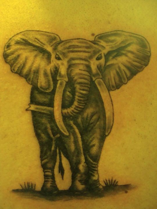 Simple painted big colored elephant tattoo on back