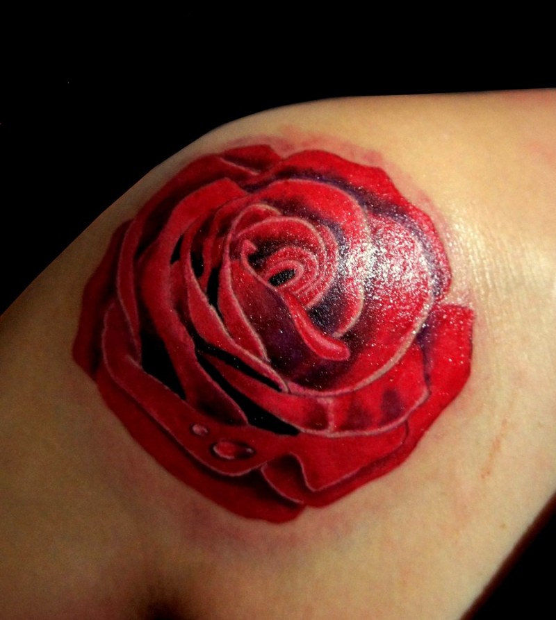 Simple usual colored big rose tattoo on shoulder