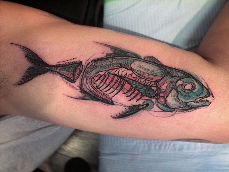 Sketch style colored biceps tattoo of X-Ray like fish