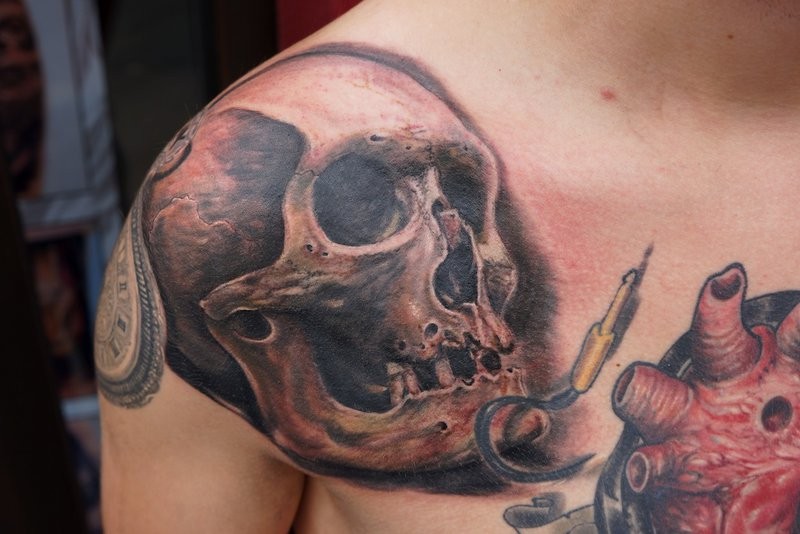 Realistic skull tattoo by graynd on the shoulder