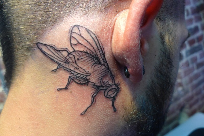 Small homemade style black ink head tattoo of small fly