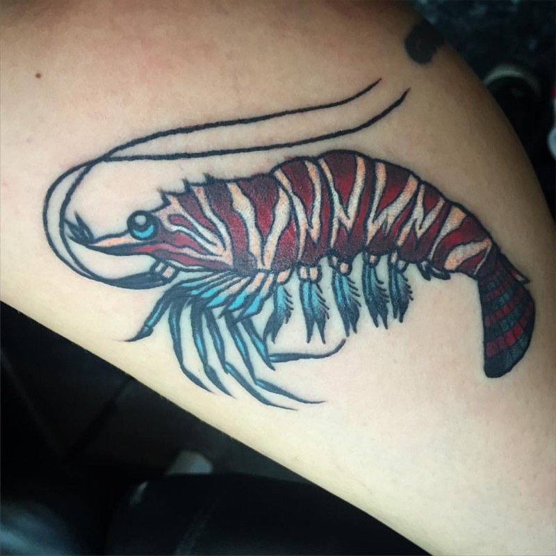 Small homemade style colored leg tattoo of cute shrimp
