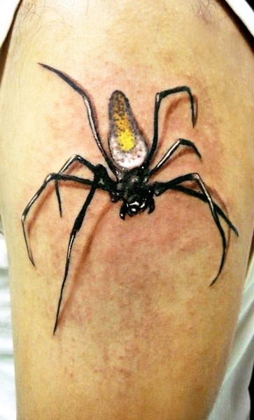 Tatto von Spinne mit gelbem Bauch