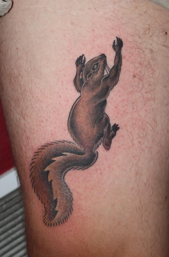 Small squirrel clumbing up tattoo