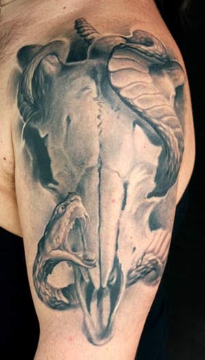 Snake and skull of animal tattoo on half sleeve