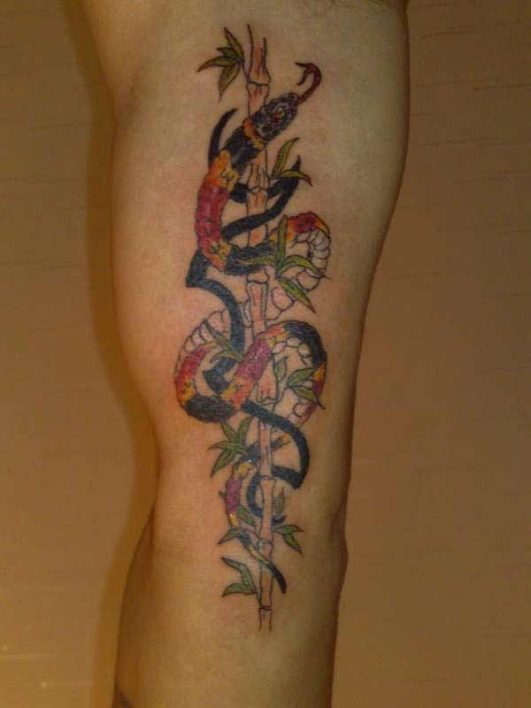 Schlange kriecht auf Rohr Tattoo in Farbe