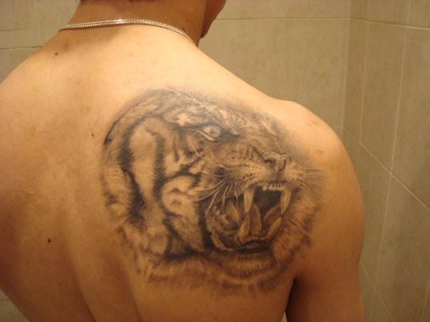 Tatuaje en el hombro, cabeza de tigre, color apagado