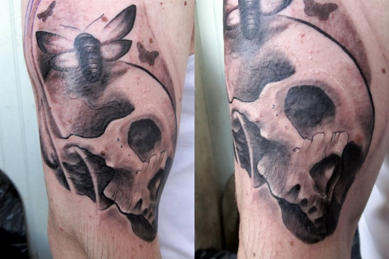 Spectacular black and gray style arm tattoo of human skull and butterfly