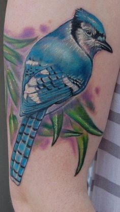 Spectacular colored big natural looking bird tattoo on shoulder