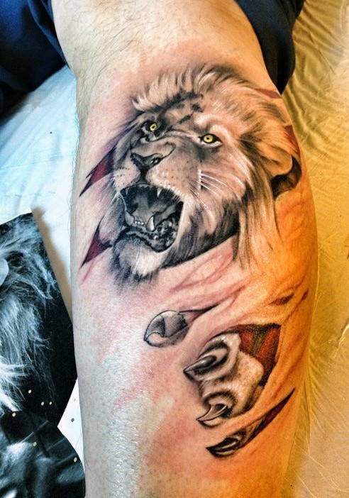 Spectacular colored leg tattoo of ripped skin and lion