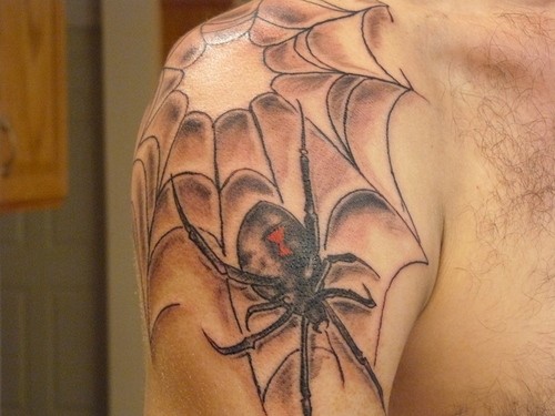 Spinne und Spinnennetz Tattoo an der Schulter