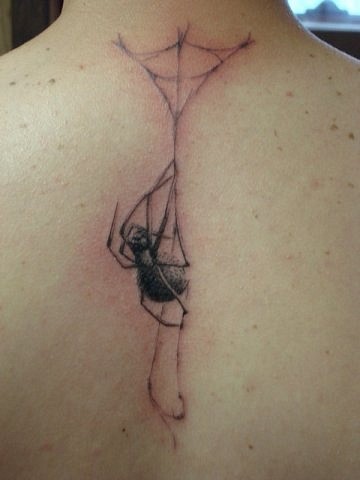 Spinne webt ein Netz Tattoo am Rücken