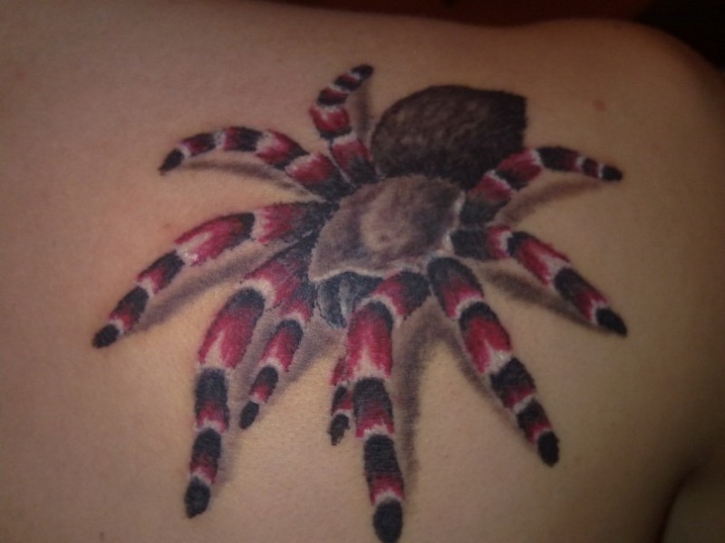 Spinne mit rotem Beinen Tattoo