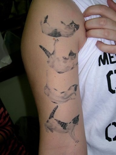 Stages of falling cat tattoo on half sleeve