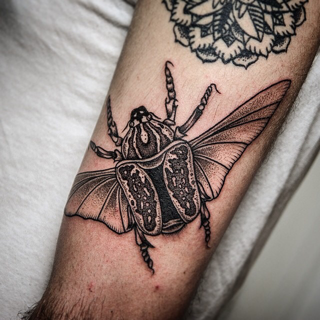 Stippling style black and white biceps tattoo of big bug