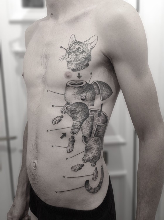 Stippling style black ink side tattoo of corrupted cat