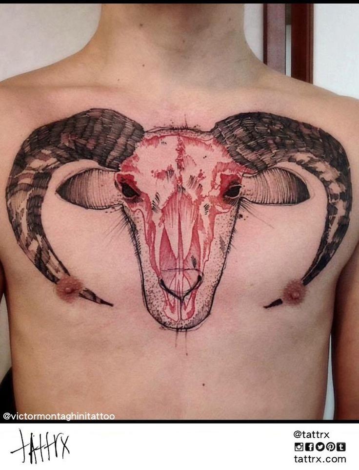 Stippling style colored chest tattoo of creepy goat