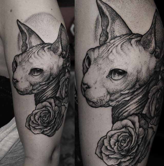 Stippling style colored shoulder tattoo of Sphinx cat