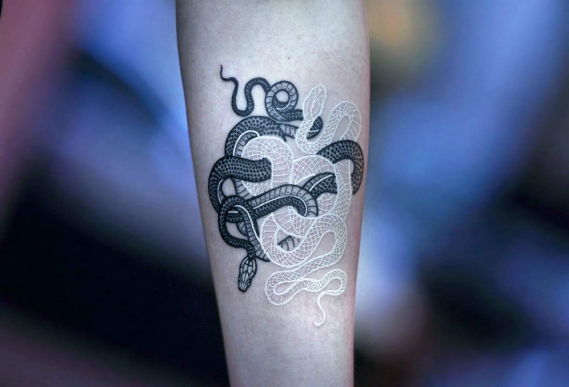 Stunning black and white ink snakes tattoo on forearm