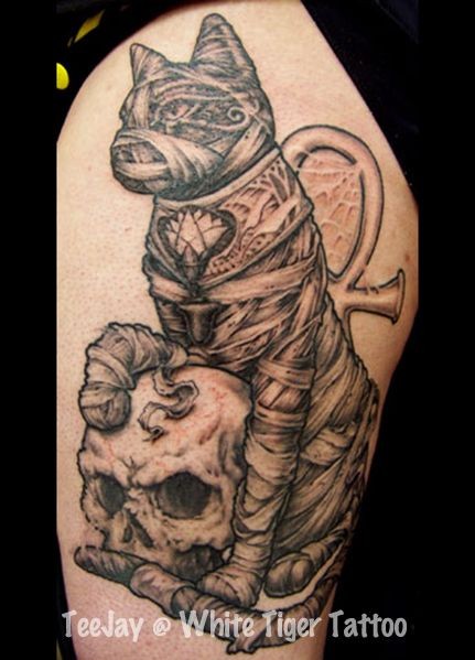 Stunning colored old Egypt cat mummy tattoo on shoulder with human skull and symbol