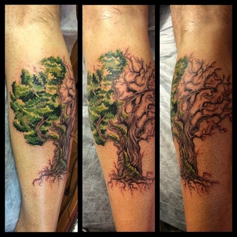 Atemberaubendes kleines farbiges Bein Tattoo mit einsamem Baum mit Blättern an einer Seite