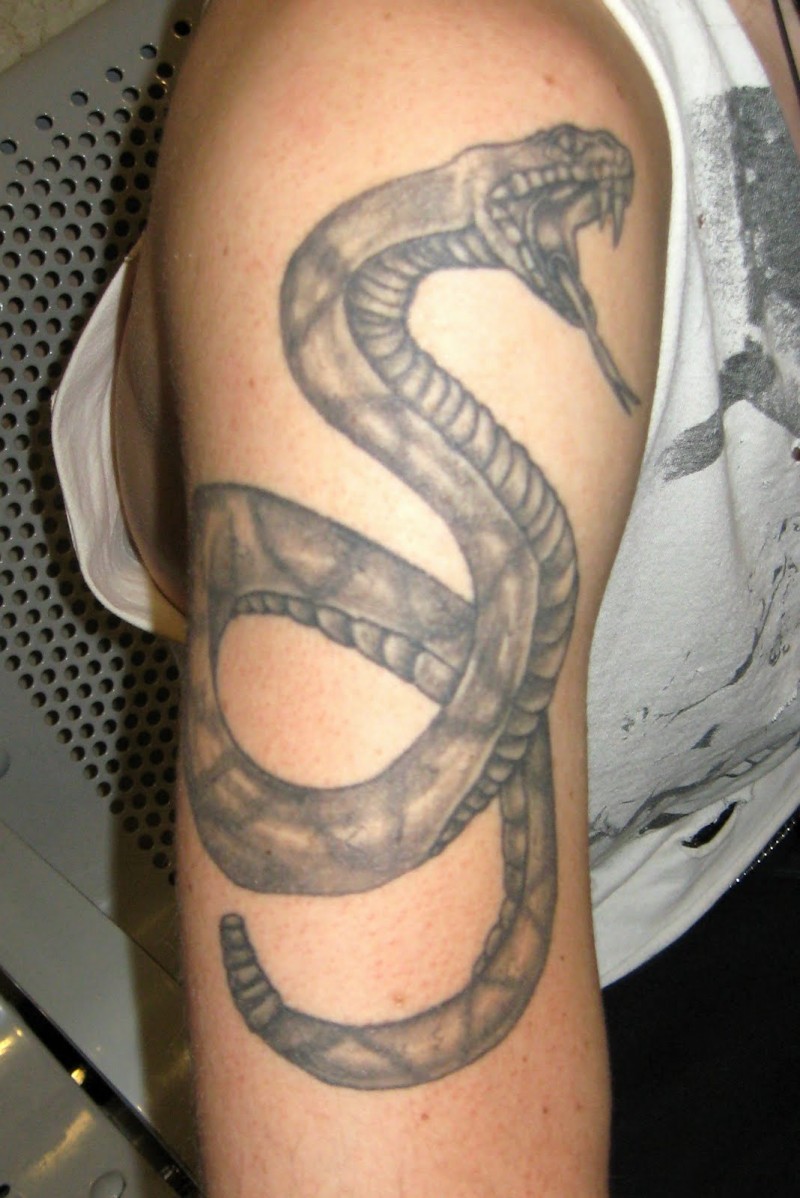 Black ink snake tattoo on arm