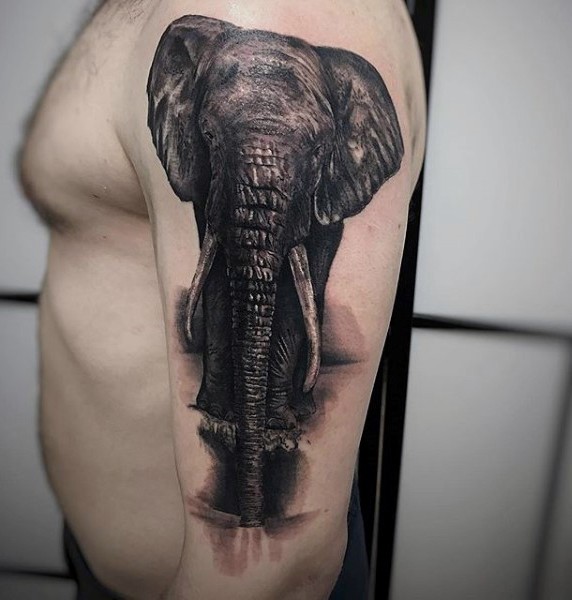 Super 3D realistic full size elephant tattoo on arm