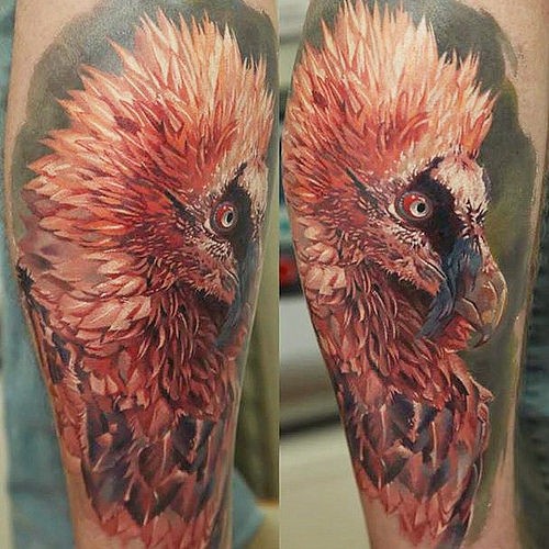 Super realistic colorful bird tattoo