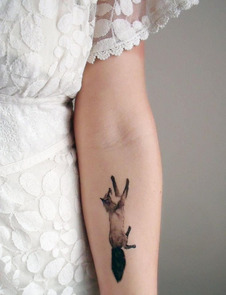 Tatuaggio sul braccio la volpe nera