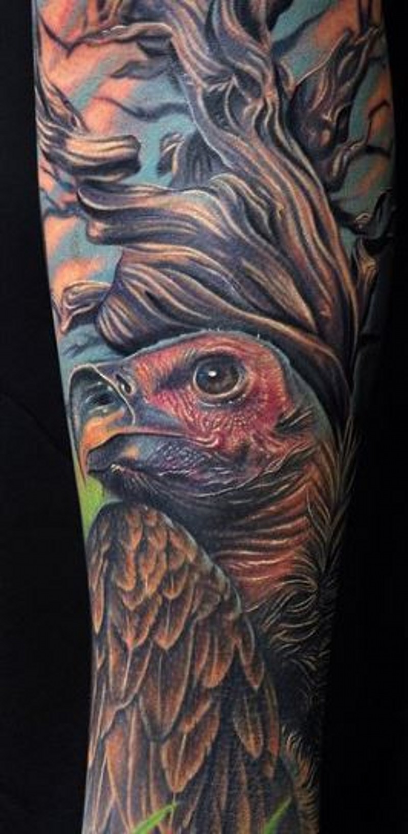 Superior looking detailed forearm tattoo of very detailed eagle