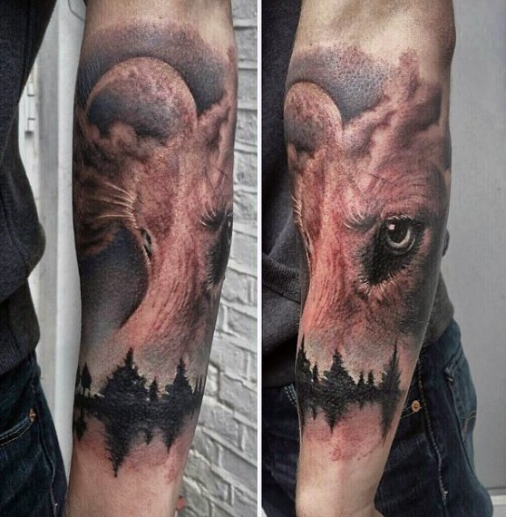 Superior multicolored forearm tattoo of lion with black ink forest