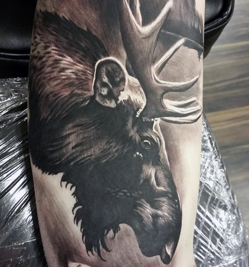 Superior painted black and white detailed arm muscle tattoo of big elk head
