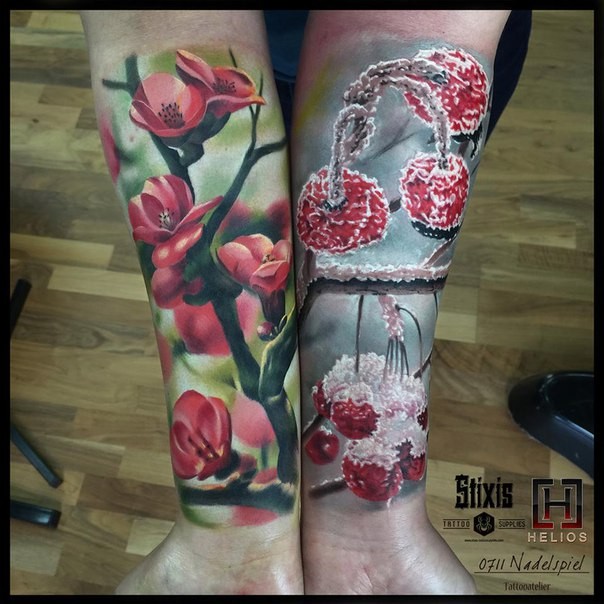 Superior realism style colored forearm tattoo of blooming tree with frozen cherries