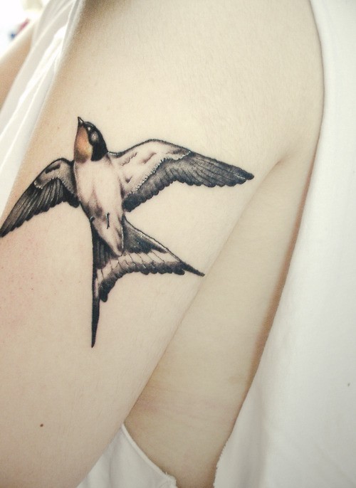 uccello rondine tatuaggio su braccio di femmina