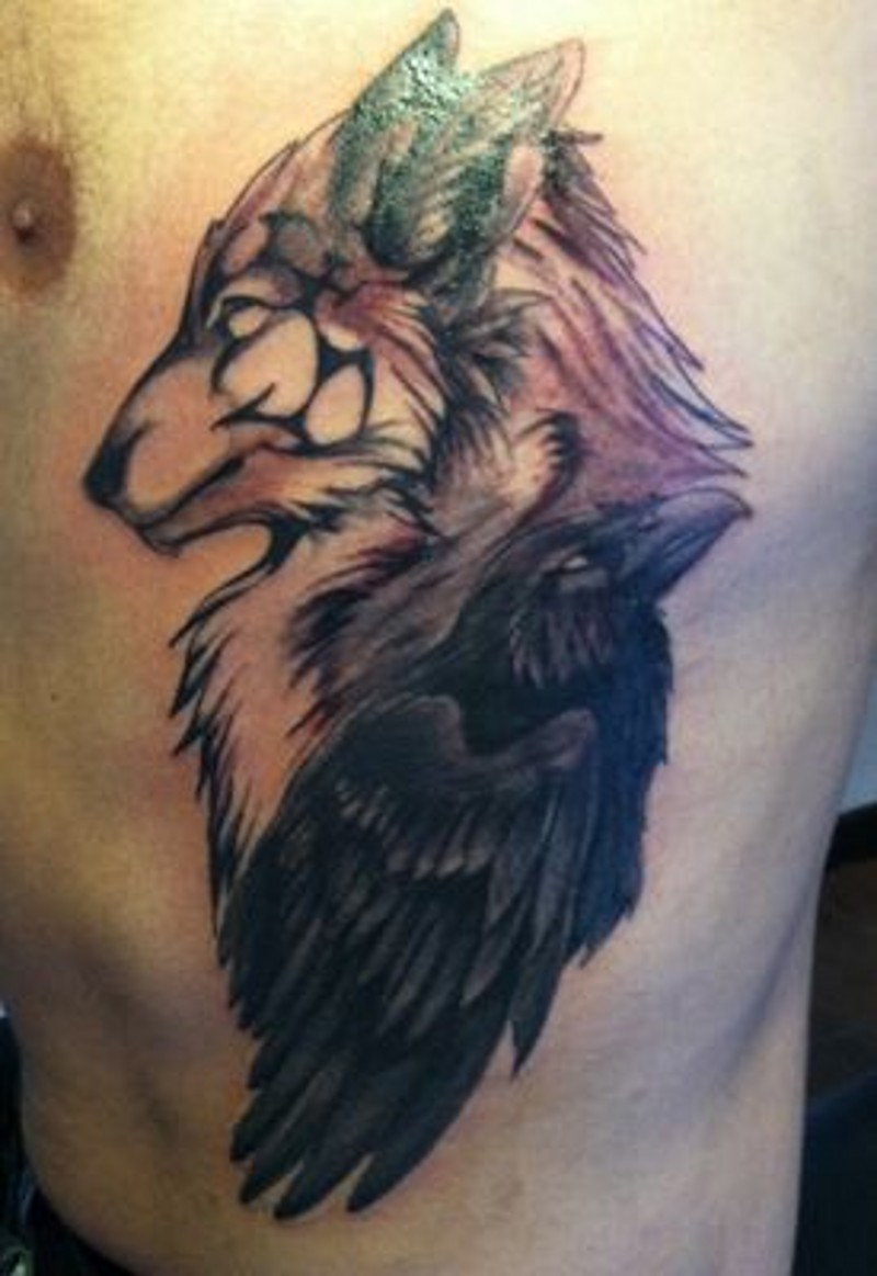 carino colorato grande volpe con corvo tatuaggio su costolette