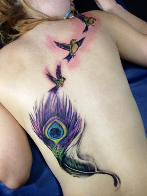 Sweet colored illustrative style black tattoo of peacock feather and birds