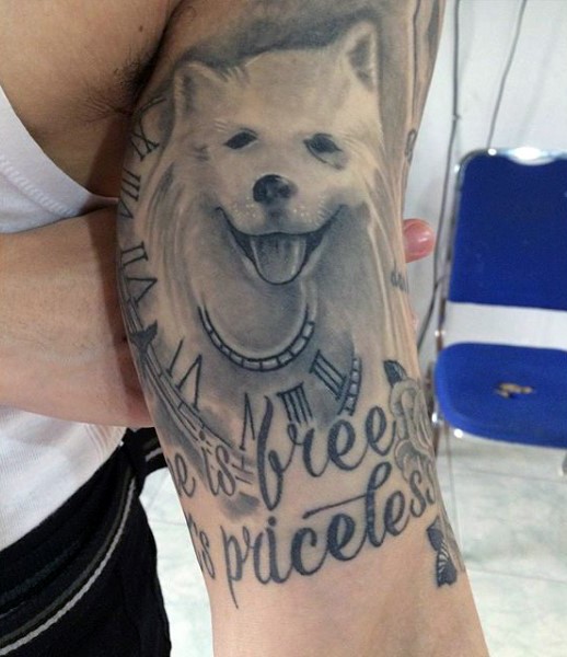 Tatuaje en el brazo, perro blanco bonito con reloj simple