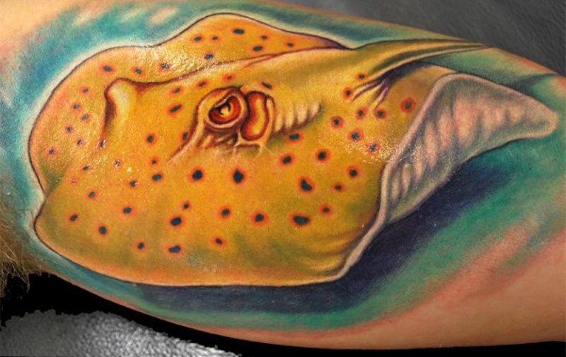Swimming cramp-fish naturally colored realistic 3D style tattoo with pale blue background